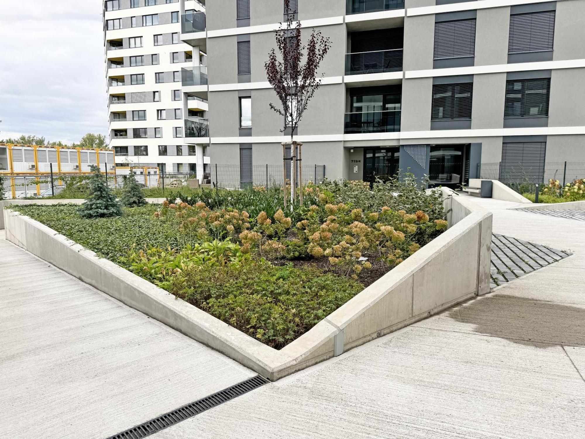 Apartament New Studio, King Bed, Free Parking, Terrace *